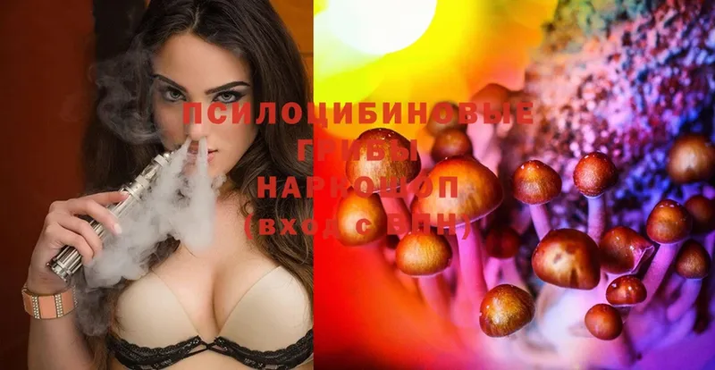 Галлюциногенные грибы Cubensis  купить  цена  Валдай 